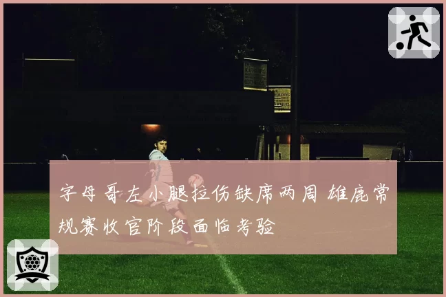 字母哥左小腿拉伤缺席两周 雄鹿常规赛收官阶段面临考验
