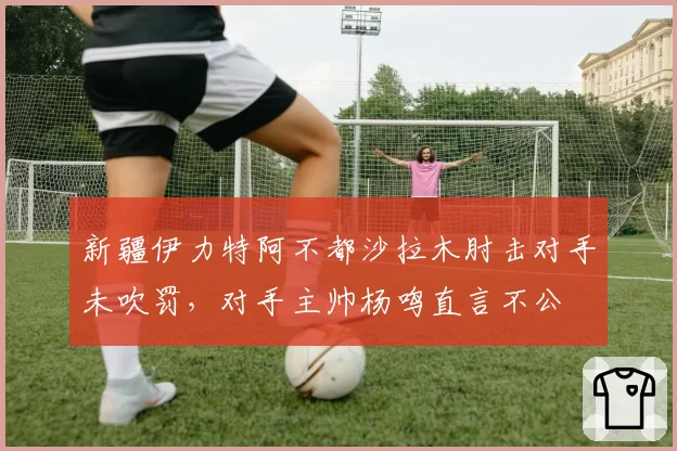 新疆伊力特阿不都沙拉木肘击对手未吹罚，对手主帅杨鸣直言不公