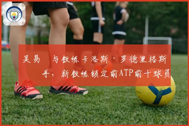 吴易昺与教练卡洛斯·罗德里格斯分手,新教练锁定前ATP前十球员