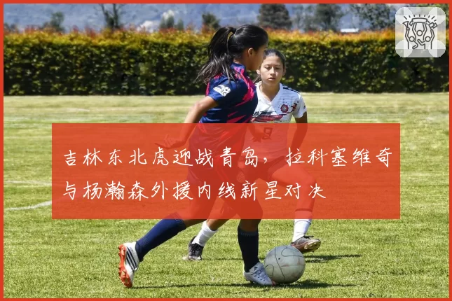 吉林东北虎迎战青岛，拉科塞维奇与杨瀚森外援内线新星对决