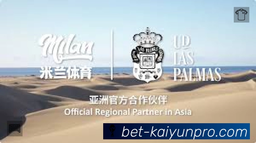 开云速度价值